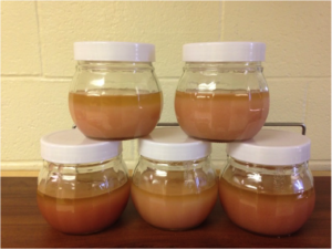 BodyScrub3